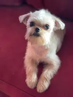 processed/bbf4a661-6b15-4148-8479-f3d7f723bc24/listing/f09da6c2-1af9-4c7a-a38d-b791391935ee/b3e3e79d-7a94-4fb7-985b-d99c2d853144