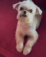 processed/bbf4a661-6b15-4148-8479-f3d7f723bc24/listing/f09da6c2-1af9-4c7a-a38d-b791391935ee/bd63ccb2-f887-4182-b0de-9d44de6034db