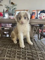 processed/bbf4ac8b-361a-480d-bc16-a28c27834fd7/listing/e1b6ca47-e386-41f9-8774-c058b9ef995e/5386965b-a4cc-4056-9f4c-ce50de21549c