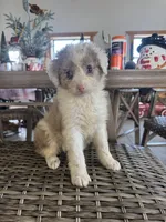 processed/bbf4ac8b-361a-480d-bc16-a28c27834fd7/listing/e1b6ca47-e386-41f9-8774-c058b9ef995e/7ed80280-aee8-4bc7-9907-83e1081b8368