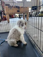 processed/bbf4ac8b-361a-480d-bc16-a28c27834fd7/listing/e1b6ca47-e386-41f9-8774-c058b9ef995e/9d228006-49ac-4a59-941e-188d1377e747