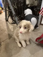 processed/bbf4ac8b-361a-480d-bc16-a28c27834fd7/listing/e1b6ca47-e386-41f9-8774-c058b9ef995e/e9e9d3ca-3ae1-4fe2-a7ff-fba385bf815d