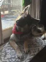 processed/bbf79b40-099e-4fb2-9859-ccade71d3012/listing/89e2197d-eeb6-4343-b47e-5791a54054be/01299cc6-913e-4385-b5a3-9b0b58d7aead