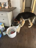 processed/bbf79b40-099e-4fb2-9859-ccade71d3012/listing/89e2197d-eeb6-4343-b47e-5791a54054be/0fc42238-9d40-4298-9978-cc4dd1a97b9e