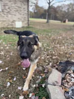 processed/bbf79b40-099e-4fb2-9859-ccade71d3012/listing/89e2197d-eeb6-4343-b47e-5791a54054be/2f0f6cf1-967b-41f9-90da-8b19b26ce4d9