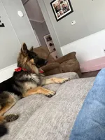 processed/bbf79b40-099e-4fb2-9859-ccade71d3012/listing/89e2197d-eeb6-4343-b47e-5791a54054be/448c31dc-d759-4a28-8098-bd55cfda5892