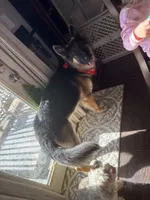 processed/bbf79b40-099e-4fb2-9859-ccade71d3012/listing/89e2197d-eeb6-4343-b47e-5791a54054be/4bead4d9-a469-44c5-9b59-f6bb70a19080