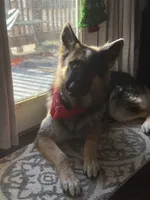 processed/bbf79b40-099e-4fb2-9859-ccade71d3012/listing/89e2197d-eeb6-4343-b47e-5791a54054be/6f8a1429-ed45-44a9-9726-98045ffb668f