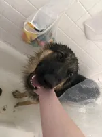 processed/bbf79b40-099e-4fb2-9859-ccade71d3012/listing/89e2197d-eeb6-4343-b47e-5791a54054be/a92ab92a-71d2-4fb7-b7ac-62d88e846d51