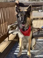 processed/bbf79b40-099e-4fb2-9859-ccade71d3012/listing/89e2197d-eeb6-4343-b47e-5791a54054be/ab18ac9e-8f69-4cdb-8777-be8dd6f913cd