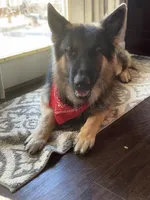 processed/bbf79b40-099e-4fb2-9859-ccade71d3012/listing/89e2197d-eeb6-4343-b47e-5791a54054be/bfd138ef-d594-4bde-b3cb-18195b765efc