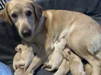 processed/bbfb829a-5e97-4f9a-907b-cb11862e76b1/listing/575b258c-76da-41f3-9e20-69dc52f615bd/3a5ebe37-e9ab-4030-9b99-232f5bc5b7d3