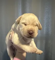 processed/bbfb829a-5e97-4f9a-907b-cb11862e76b1/listing/575b258c-76da-41f3-9e20-69dc52f615bd/9894099c-daed-456c-8498-6c3078b4bf26