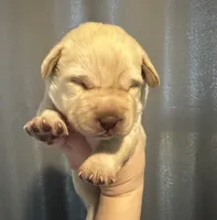 processed/bbfb829a-5e97-4f9a-907b-cb11862e76b1/listing/575b258c-76da-41f3-9e20-69dc52f615bd/9b2916ac-49c5-4b6e-9366-5092a76b25c5