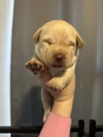 processed/bbfb829a-5e97-4f9a-907b-cb11862e76b1/listing/575b258c-76da-41f3-9e20-69dc52f615bd/e2b87edf-4f4f-47bc-8547-0eb5c60de871