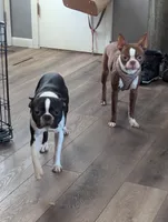 processed/bc0a690e-35f3-4f40-9629-e2b6fd7e8cbd/facility/6074941e-36ac-4937-a61d-fb2a5dbd3855