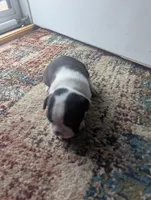 processed/bc0a690e-35f3-4f40-9629-e2b6fd7e8cbd/facility/620ce5f7-a4c1-4c8c-9974-c821ea9eb3ff