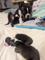 processed/bc0a690e-35f3-4f40-9629-e2b6fd7e8cbd/facility/72c8aeb2-8d9d-47f9-833a-7a78737763c7