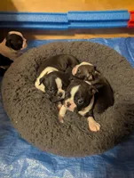 processed/bc0a690e-35f3-4f40-9629-e2b6fd7e8cbd/facility/8908fd4b-0a40-48cb-a641-7a4f8073998a