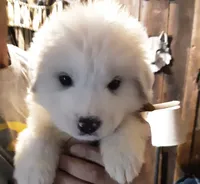 processed/bc1a2a61-1732-49a4-ba3e-7aa31fcd3867/listing/3ed7ea30-1e9c-4a12-8653-b3ce6542cb54/6097e7a0-22fa-4034-8985-901d60e50c6d