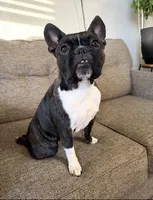 processed/bc1f917d-8ffc-4d6a-9743-a1b78af14bf8/facility/a400c3ac-be2d-4c75-9afb-eee559570360