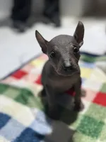 processed/bc21fc15-ff04-42cd-8455-1f138154fe14/listing/02f88191-d26c-48dd-b944-7afbd6783be4/6eef5be7-b798-47d1-b5a1-b4c0f8b50ad6