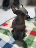 processed/bc21fc15-ff04-42cd-8455-1f138154fe14/listing/02f88191-d26c-48dd-b944-7afbd6783be4/83802c33-bf94-4808-9226-d212faf18d88