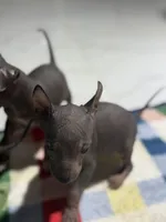 processed/bc21fc15-ff04-42cd-8455-1f138154fe14/listing/02f88191-d26c-48dd-b944-7afbd6783be4/8ea66e28-ecb9-4507-a9f8-266bc2c0639b