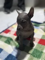 processed/bc21fc15-ff04-42cd-8455-1f138154fe14/listing/02f88191-d26c-48dd-b944-7afbd6783be4/922e9dc5-1719-4b3e-b42b-f38f91693819