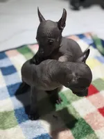 processed/bc21fc15-ff04-42cd-8455-1f138154fe14/listing/02f88191-d26c-48dd-b944-7afbd6783be4/ecd1e457-e0ed-455c-a667-ce1be556435e