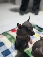 processed/bc21fc15-ff04-42cd-8455-1f138154fe14/listing/02f88191-d26c-48dd-b944-7afbd6783be4/f2518278-dcc4-4199-83a4-68d377af9df4