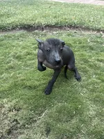 processed/bc21fc15-ff04-42cd-8455-1f138154fe14/listing/6eaa784a-7b84-4cd4-9177-4169f615f1a4/0387de92-b130-4dce-9296-5c21553c69f1