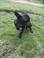 processed/bc21fc15-ff04-42cd-8455-1f138154fe14/listing/6eaa784a-7b84-4cd4-9177-4169f615f1a4/3090db1b-788a-4f39-a8bd-41f0231a9703