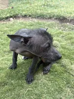 processed/bc21fc15-ff04-42cd-8455-1f138154fe14/listing/6eaa784a-7b84-4cd4-9177-4169f615f1a4/4b0acdf3-593f-4d09-81ad-dc60e053da1e