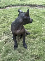 processed/bc21fc15-ff04-42cd-8455-1f138154fe14/listing/6eaa784a-7b84-4cd4-9177-4169f615f1a4/7b21436e-86b3-401f-8800-e8c9f0bf6fce