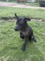 processed/bc21fc15-ff04-42cd-8455-1f138154fe14/listing/6eaa784a-7b84-4cd4-9177-4169f615f1a4/ba227b15-1217-4e89-b5c6-6ac65ec0668f