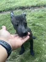 processed/bc21fc15-ff04-42cd-8455-1f138154fe14/listing/6eaa784a-7b84-4cd4-9177-4169f615f1a4/be465d75-a664-4f1e-8094-99afab016c1c