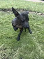 processed/bc21fc15-ff04-42cd-8455-1f138154fe14/listing/6eaa784a-7b84-4cd4-9177-4169f615f1a4/cff2b2e0-9888-4313-a56c-5219b4dde076