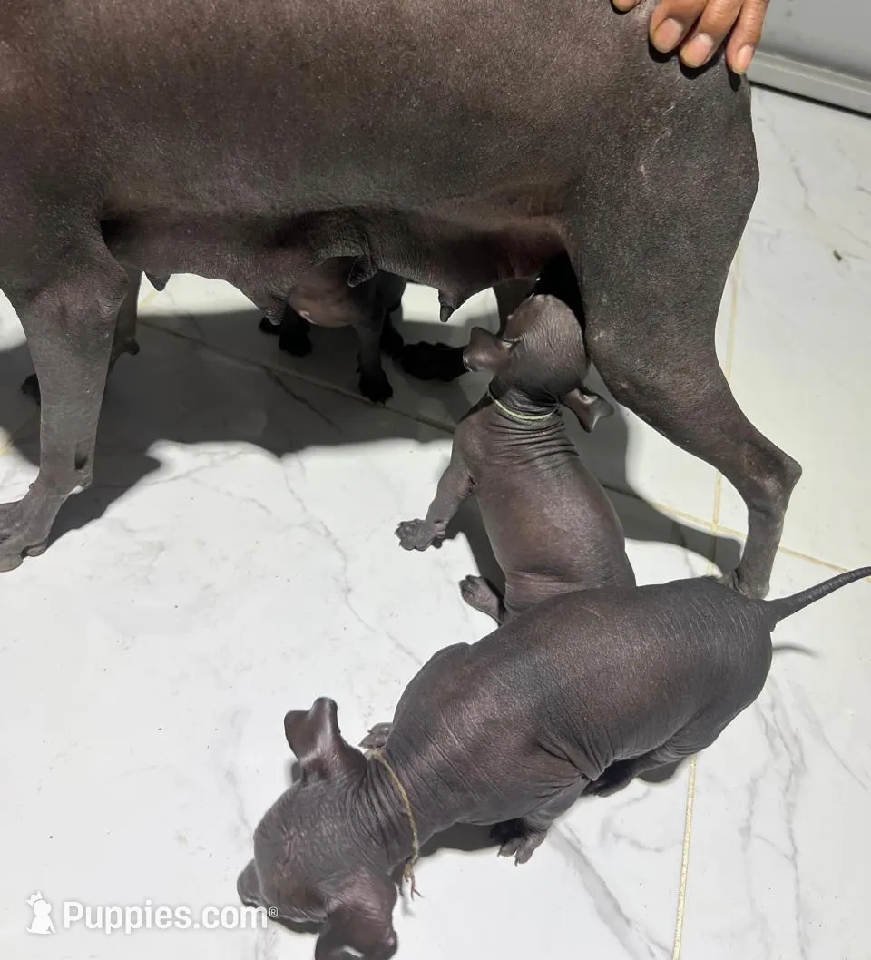 processed/bc21fc15-ff04-42cd-8455-1f138154fe14/listing/9eebb544-732c-4ff1-bef7-d6d3821cec2b/622108a7-d681-4f01-ace5-039ae9caa0fe