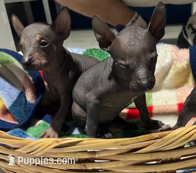 processed/bc21fc15-ff04-42cd-8455-1f138154fe14/listing/9eebb544-732c-4ff1-bef7-d6d3821cec2b/acf1812a-c51e-47be-9a74-15f3765cf0f8