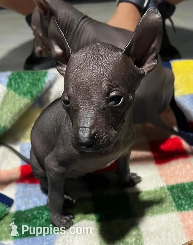 processed/bc21fc15-ff04-42cd-8455-1f138154fe14/listing/9eebb544-732c-4ff1-bef7-d6d3821cec2b/c7bbfb53-dd18-42c5-82c0-c487b9f35b60