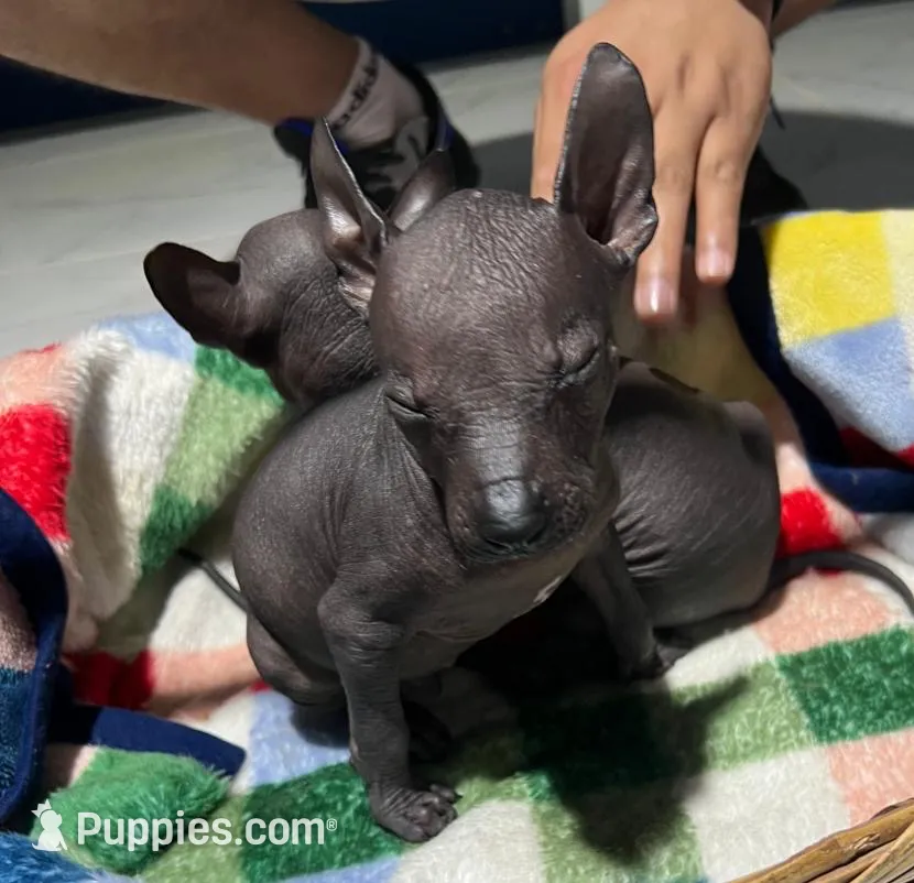 processed/bc21fc15-ff04-42cd-8455-1f138154fe14/listing/9eebb544-732c-4ff1-bef7-d6d3821cec2b/dee503b8-a343-43ac-8f0d-c61ef4c74377