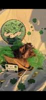 Chocolate Teacup Yorkie , a male Yorkshire Terrier for sale in Rockwall, TX – Photo 5 of 6