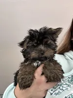 processed/bc4ca689-3461-41e3-9ba4-7edfdb95382a/listing/f0ea607c-f01e-48f1-bc99-ece1f0e095b3/766105ee-655a-4338-92d5-d8e7b612605e