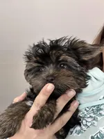 processed/bc4ca689-3461-41e3-9ba4-7edfdb95382a/listing/f0ea607c-f01e-48f1-bc99-ece1f0e095b3/c46eaff8-a795-483c-a5a6-e3328550e7c7