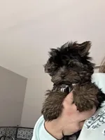 processed/bc4ca689-3461-41e3-9ba4-7edfdb95382a/listing/f0ea607c-f01e-48f1-bc99-ece1f0e095b3/e921acd8-5665-4f8f-a45b-b1d0ad77cd8e