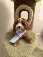 processed/bc533024-4f6a-4b62-9f01-5c95fae61cd5/listing/717abe66-ac31-4033-a628-5b074015bf05/2f2c07a9-6f8e-40f2-8d6b-af8f92099caf