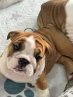 processed/bc557c3d-4c4c-4afd-b08f-48e804630e2e/listing/3f5df9e9-c7f3-4a57-baf1-299302e8f8b1/8602e7b0-4a43-4436-86b0-7c2c8f9c267b