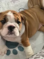 processed/bc557c3d-4c4c-4afd-b08f-48e804630e2e/listing/3f5df9e9-c7f3-4a57-baf1-299302e8f8b1/a12351ae-02db-45d1-8504-00e0cfd7afd0