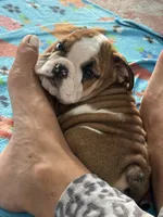 processed/bc557c3d-4c4c-4afd-b08f-48e804630e2e/listing/3f5df9e9-c7f3-4a57-baf1-299302e8f8b1/c3650f77-d25f-45ae-96cd-e150093adab5